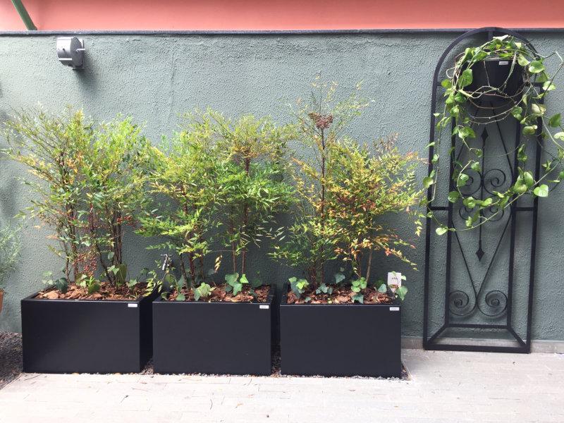 Confira o lindo projeto com os vasos da Corona Design